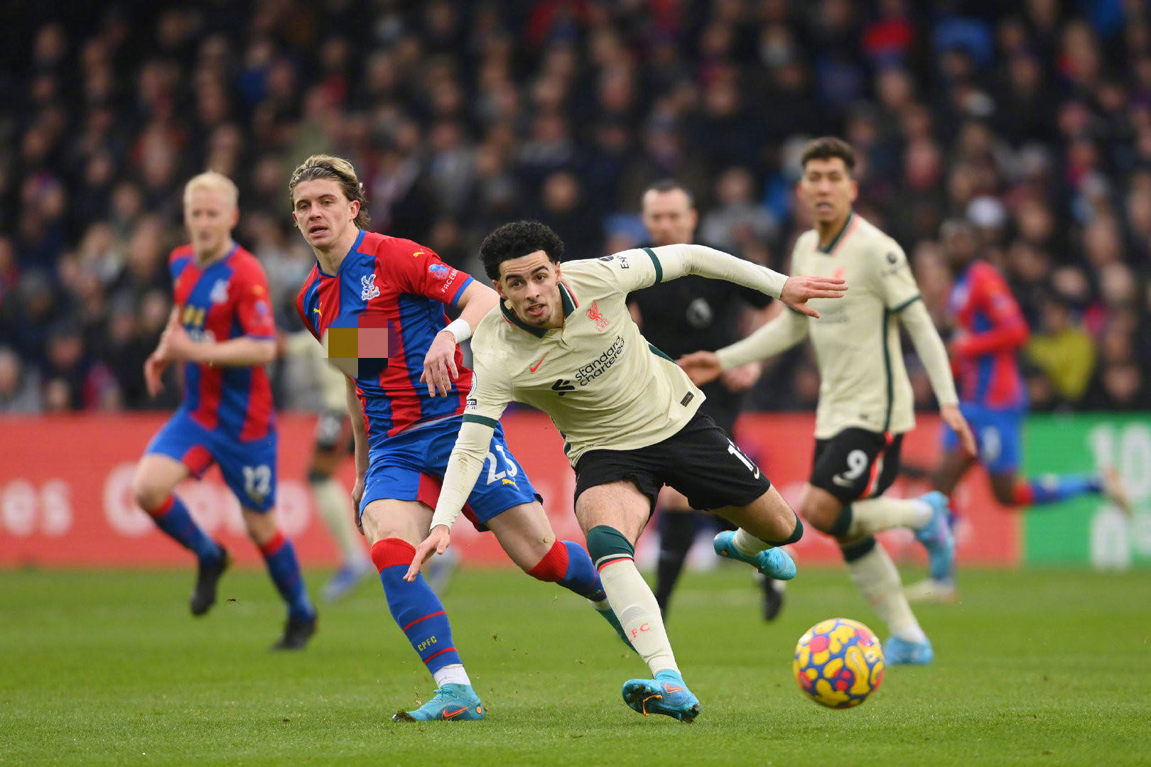 妻子的理解 妻子的理解